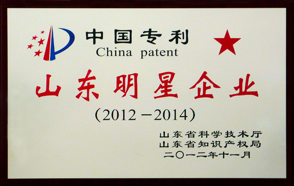 中国专利山东明星企业(图1)
